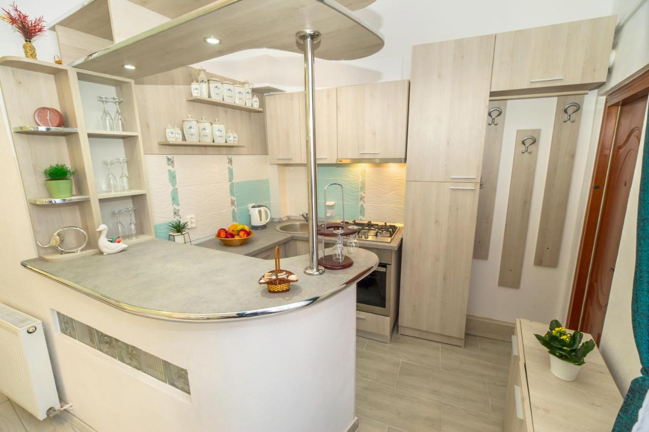 Eco Studio Брашов Экстерьер фото